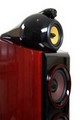 Sag-350